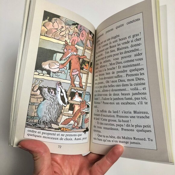 2 Livres jeunesse vintage 90s 🦊 Documentaire + Roman Fantastique Maître Renard - Picture 5 of 9
